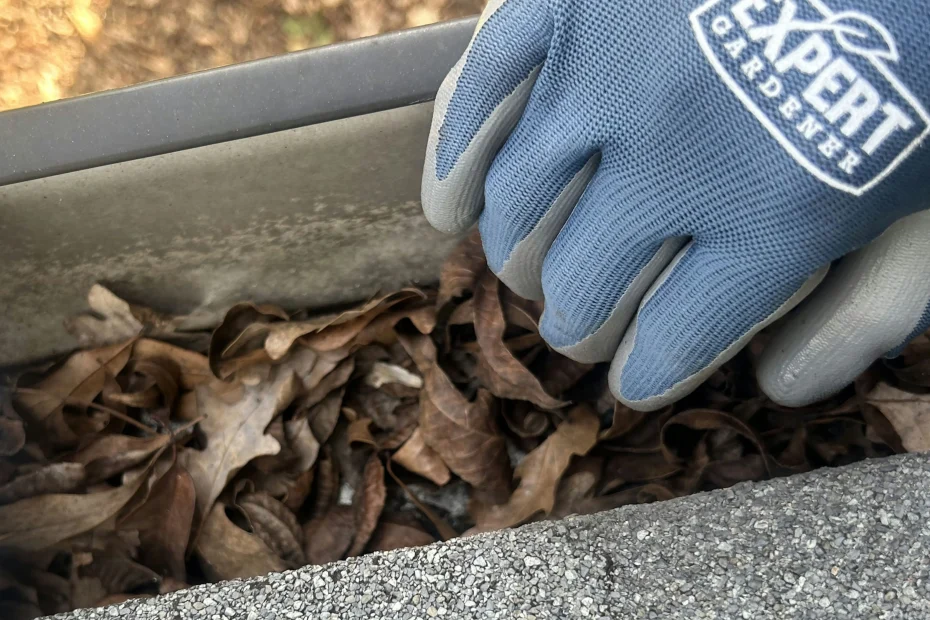 Gutter Cleaning Vienna VA