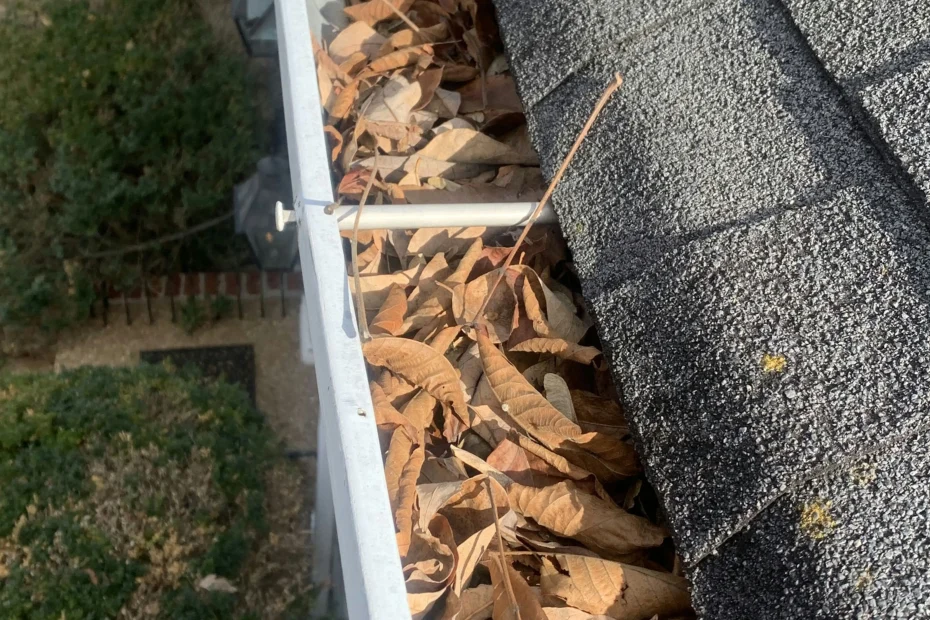 Gutter Cleaning Vienna VA