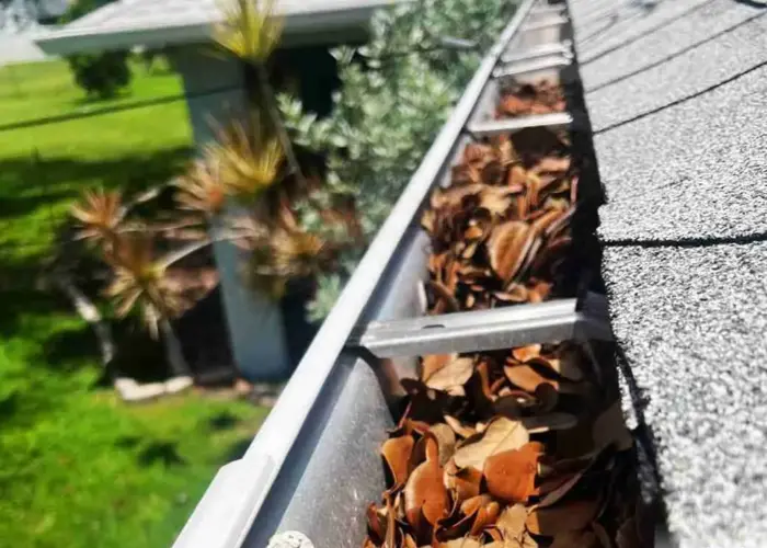 Gutter Cleaning Vienna VA home page